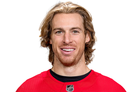 Booth, David #22 (LW)  - Anaheim Ducks - 2017 Playoffs
