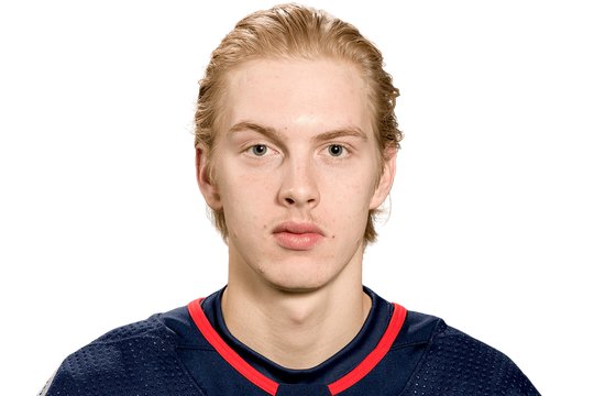 Stats for player Kivlenieks, Matiss #80 (G) - Columbus ...