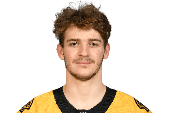 Lauko, Jakub #94 (LW)  - Boston Bruins - 2024 Playoffs