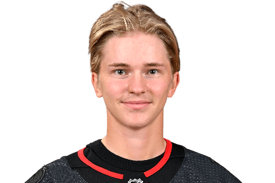 Tieksola, Tuukka #54 (RW) - unknown unknown - 2025 Playoffs