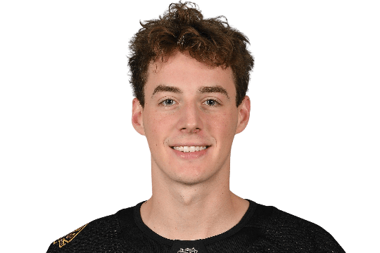 Mast, Ryan #87 (D) - Boston Bruins - 2025 Playoffs