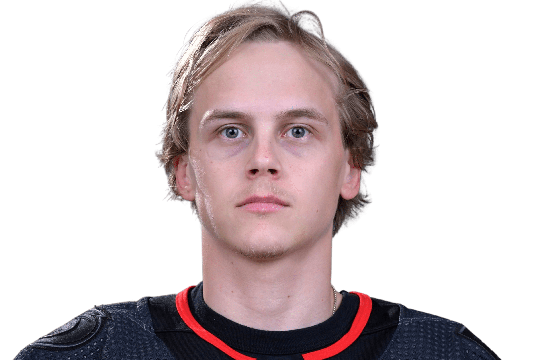 Honka, Anttoni #84 (D) - Carolina Hurricanes - 2025 Playoffs