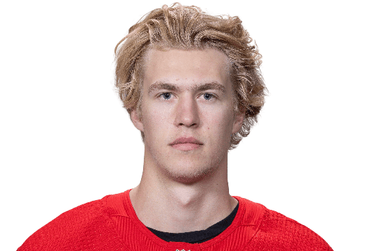 Edvinsson, Simon #77 (D) - Detroit Red Wings - 2025 Playoffs