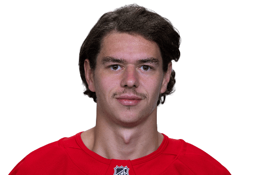 Johansson, Albert #20 (D) - Detroit Red Wings - 2025 Playoffs