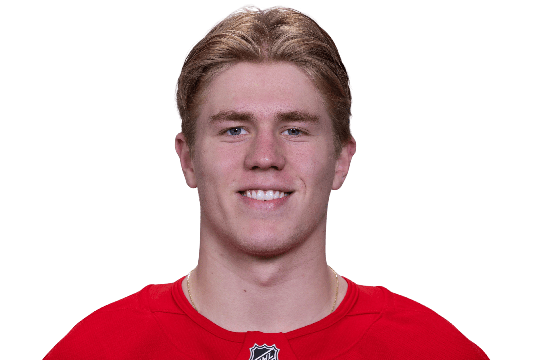 Brandsegg-Nygard, Michael #28 (RW) - Detroit Red Wings - 2025/2026 Regular Season