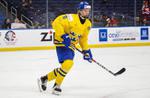 Four Canadian teams in mix to land Rasmus Dahlin in NHL draft lottery